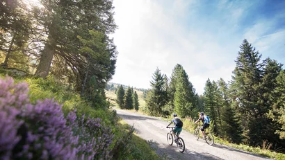 Appartements im Hochfeldhof für deinen Sommer im Zillertal