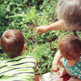 Erwachsener und zwei Kinder betrachten Pflanzen in einem Garten