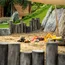 Sandkasten mit Spielzeugfahrzeugen und Holzeinfassung im Garten