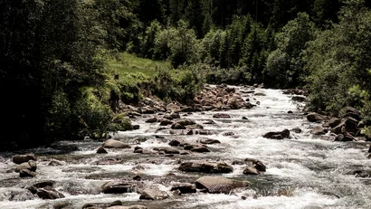 Wild fließender Fluss mit Felsen und Bäumen im Wald